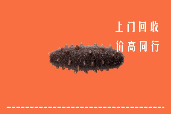昌吉市回收海参