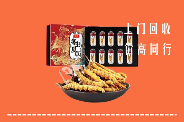 昌吉市回收虫草